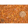 Chili Grob Rollservice