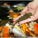 Nutramare Koi SENSITIV SINK 4,5mm 15Kg Sack