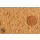 Tigernussmehl Rollservice